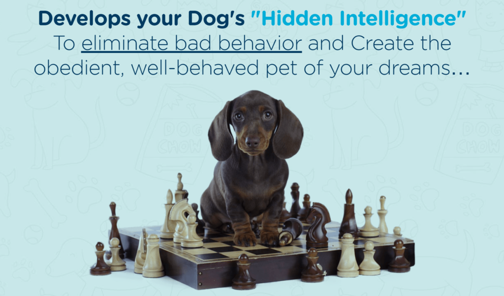 puppy chess smart trainer brain