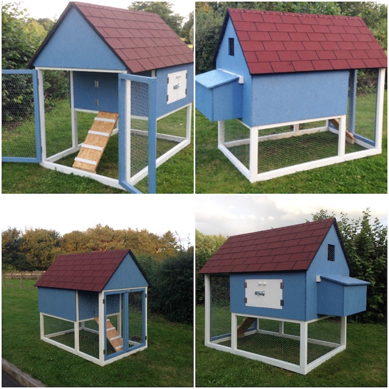 chicken coop plans blue house secrets