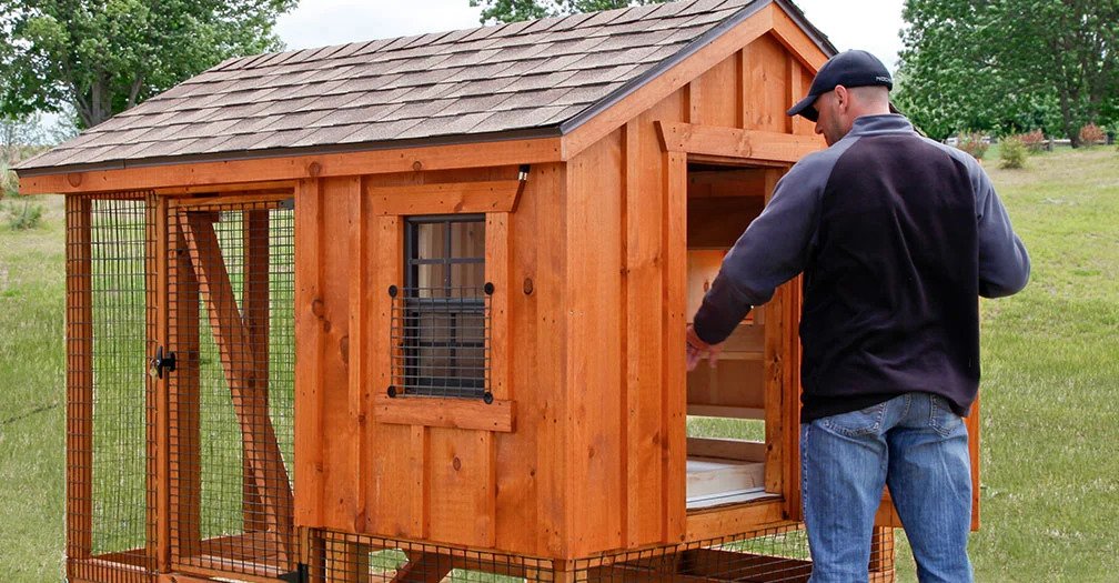 build chicken coop secrets