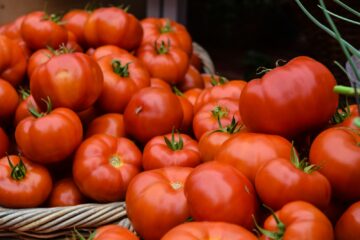 orange tomatoes